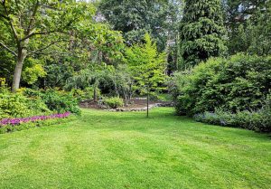 Optimiser l'expérience du jardin à Miniac-sous-Becherel